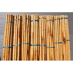 Bambusová tyč průměr 5-6 cm, délka 2 metry